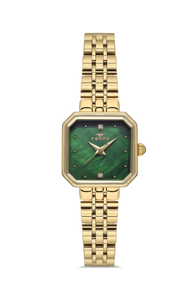 FL21384A Ferro Metal Band Women Watch